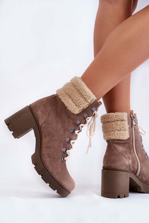 Жіночі замшеві чоботи на каблуці коричневі Fenya