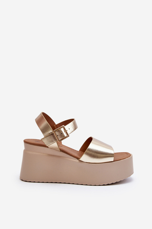 Жіночі босоніжки на танкетці Gold Geferia