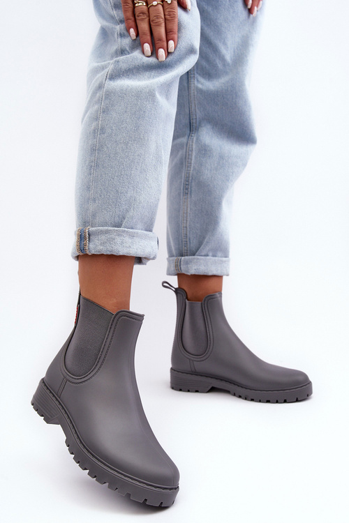 Чоботи жіночі Birella сірі