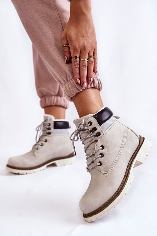 Жіночі теплі чоботи світло-сірі Lonne