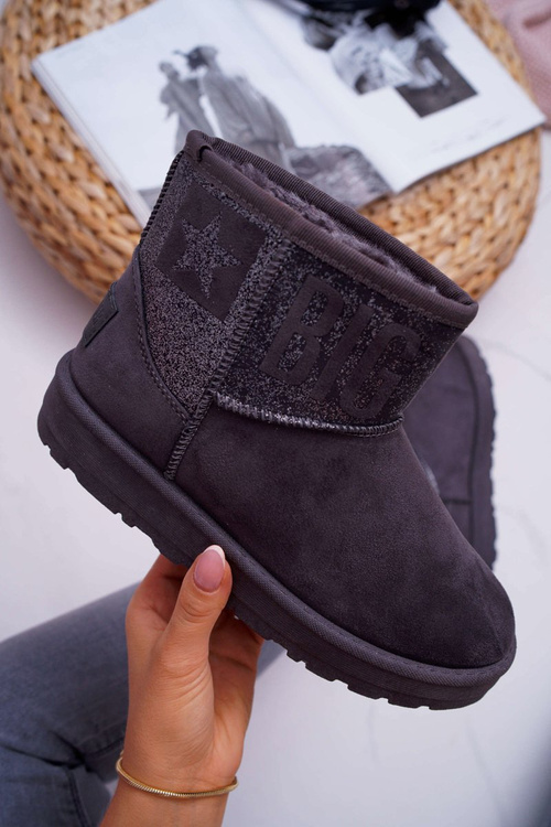 Жіночі зимові черевики утеплені сірі Big Star EE274262