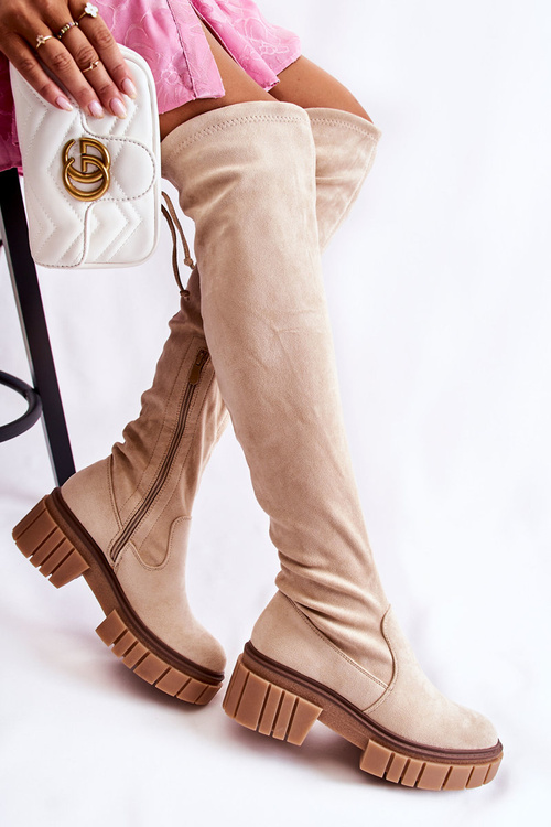 Жіночі замшеві чоботи Workers Light Beige Cheera