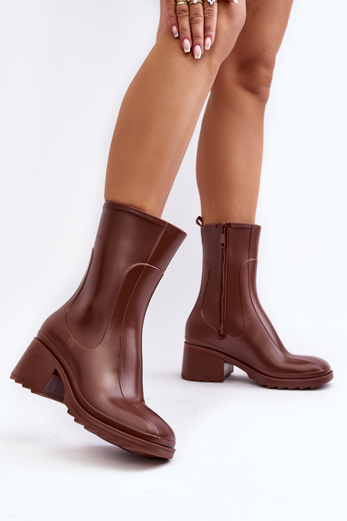 Жіночі матові ботфорти на підборах Бертаїда коричневого кольору