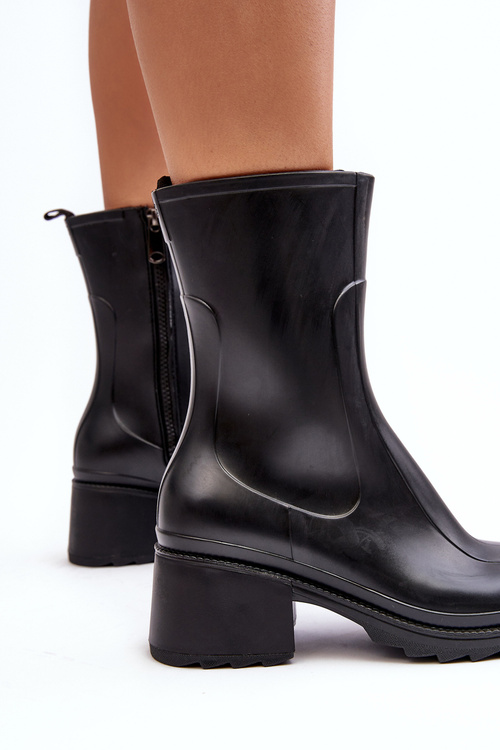Жіночі матові чоботи на каблуці чорні Бертаїда