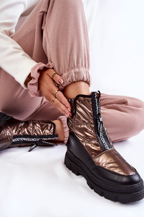 Жіночі зручні зимові черевики коричнево-чорні Elodia