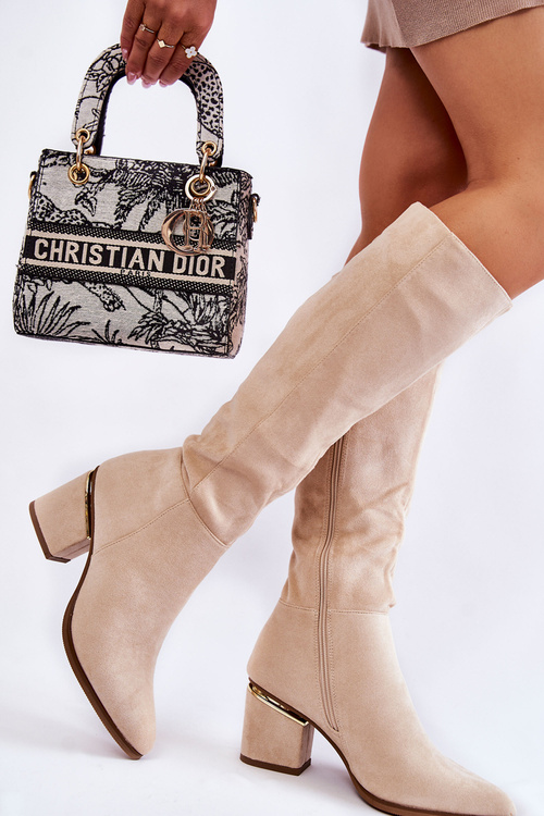 Класичні замшеві чоботи на блискавці світло-бежевого кольору Leyette