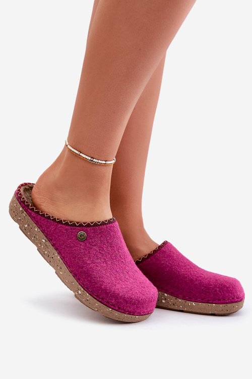 Жіночі кімнатні тапочки Fuchsia Inblu ED000018