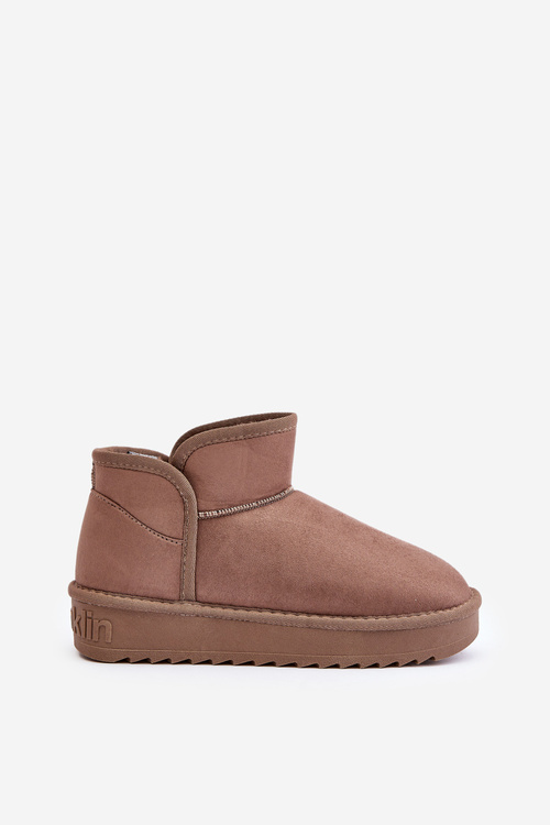 Жіночі зимові черевики на платформі D.Franklin DFSH370010 Темно-сірий