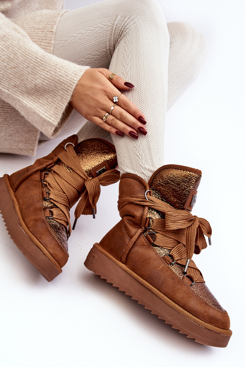 Жіночі зимові черевики зі шнурівкою D.Franklin DFSH370006 Коричневий