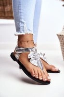 Відтінки сірого і сріблястий