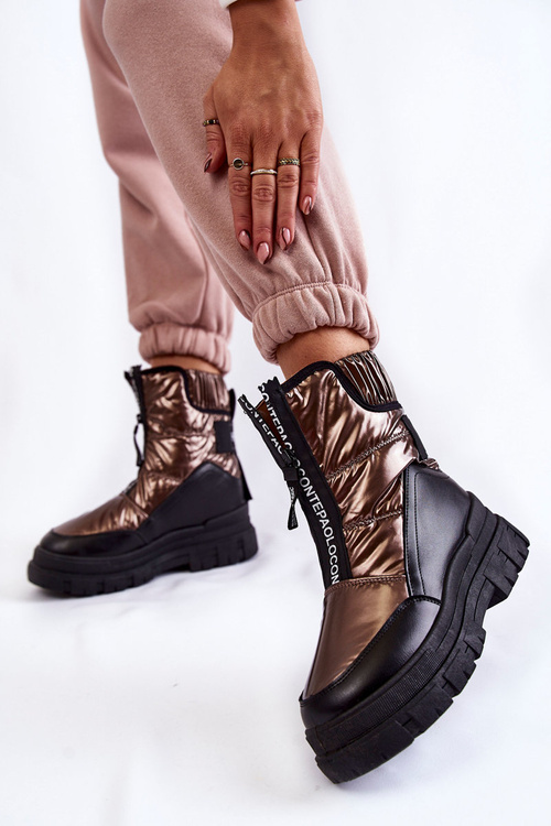 Жіночі зручні зимові черевики коричнево-чорні Elodia