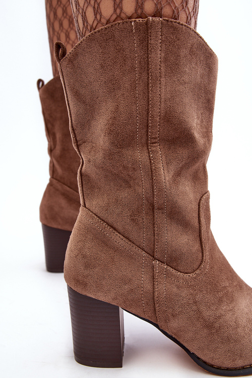 Жіночі ковбойські чоботи Botki на каблуці темно-бежеві Danell