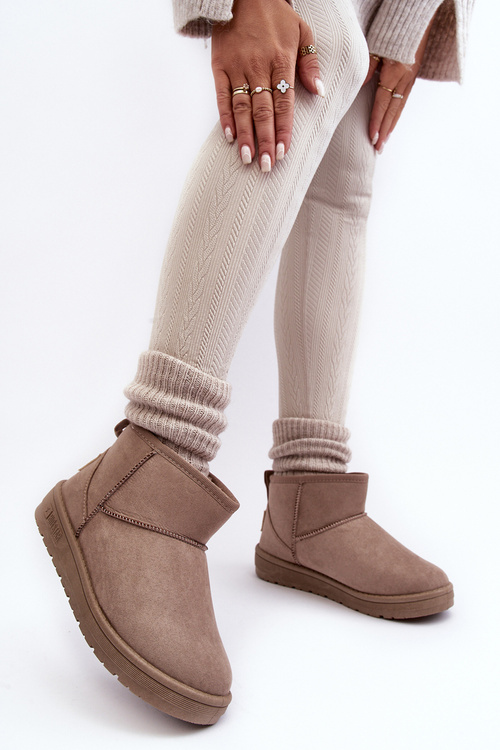 Жіночі зимові черевики темно-бежеві Big Star KK274294