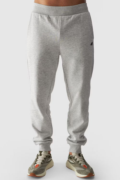 Чоловічі спортивні штани 4FWMM00TTROM0942-27M сірий меланж
