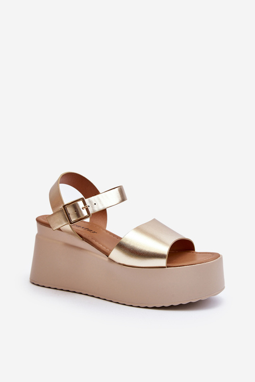 Жіночі босоніжки на танкетці Gold Geferia