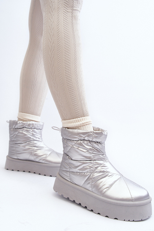 Чоботи жіночі сріблясті Fionia