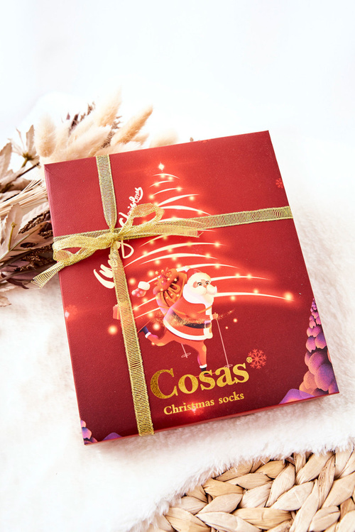 Набір жіночих шкарпеток Santa Claus Cosas 4 пари + кулон