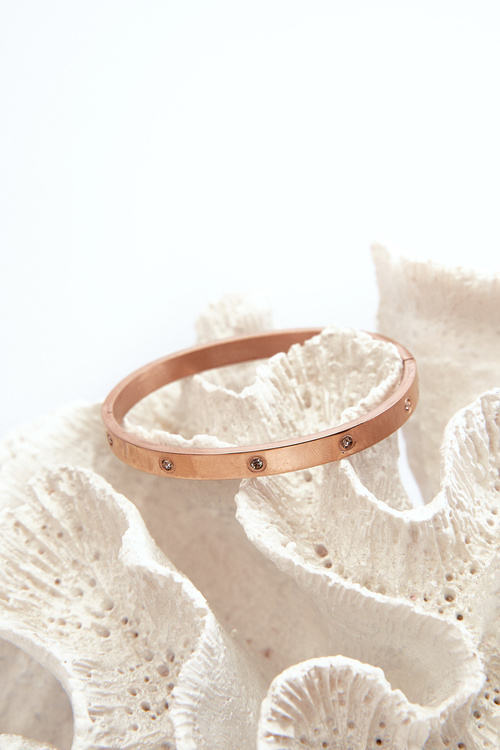 Сталевий браслет із рожевим золотом і цирконієм Лорен