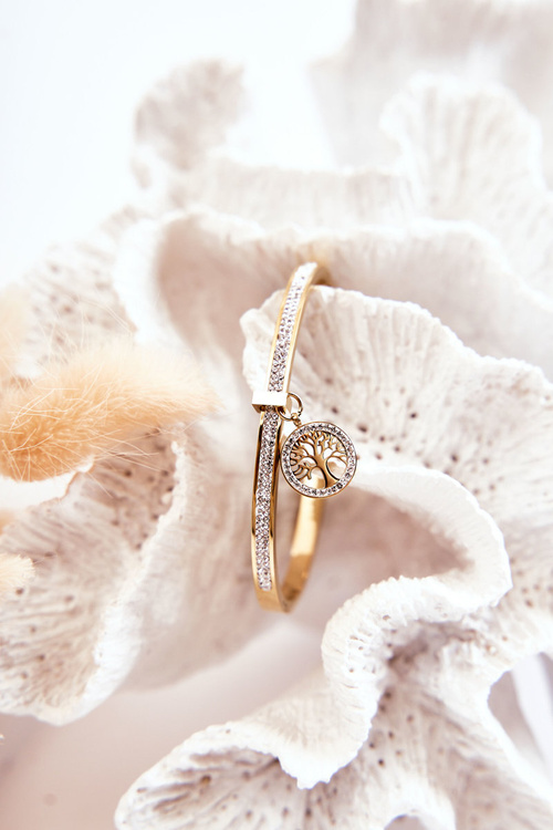 Сталевий браслет із кубічним цирконієм «Дерево життя», живе золото