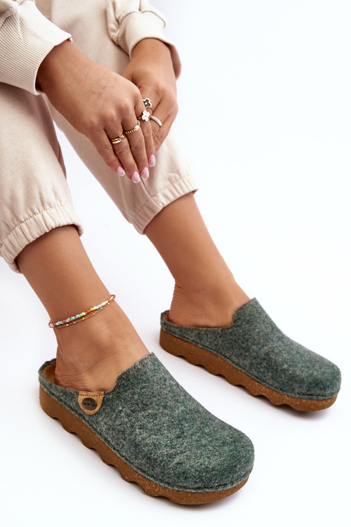 Жіноче домашнє взуття Profilactic Тапочки Inblu DK000011 Зелений