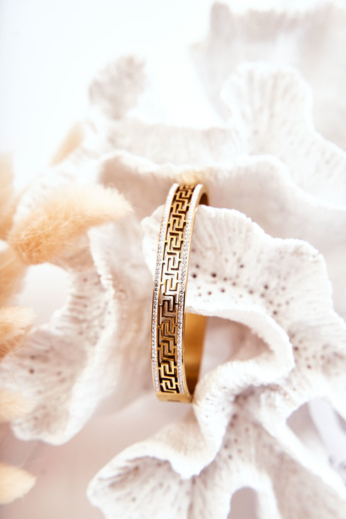 Жіночий сталевий браслет із застібкою з цирконієвим золотом