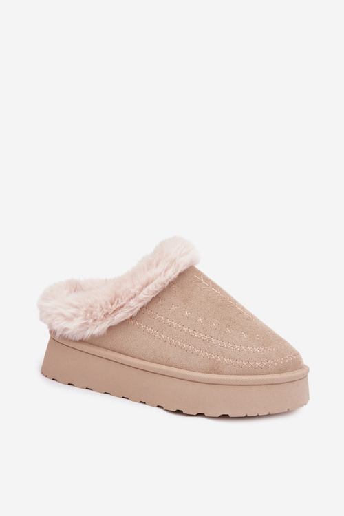 Жіночі зимові чоботи на платформі з хутром і прошивками світло бежеві Arelina