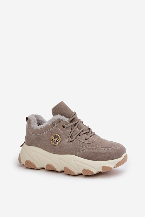 Тепле жіноче спортивне взуття на платформі сірого кольору Bialoa