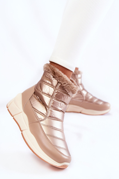 Жіночі зимові черевики на блискавці золотисто-бежеві Senia