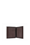 Чоловічий класичний гаманець Big Star JJ674044 Коричневий