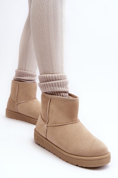 Жіночі зимові черевики з хутряною підкладкою, бежевий Big Star MM274160