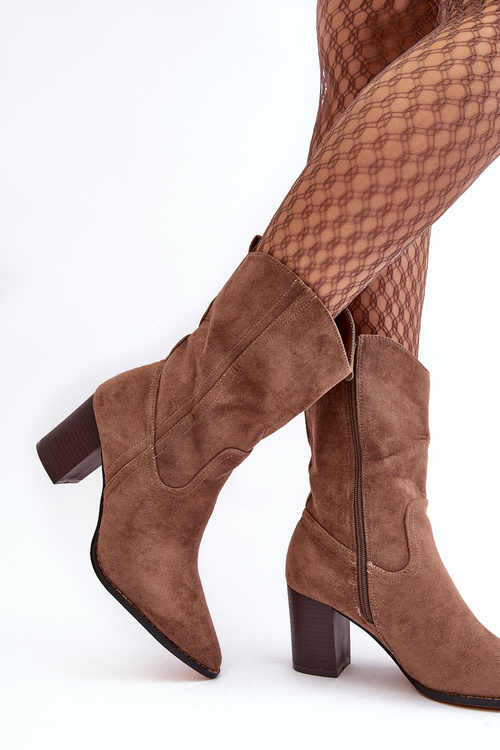 Жіночі ковбойські чоботи Botki на каблуці темно-бежеві Danell