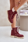 Жіночі утеплені ботильйони на блискавці бордового кольору Ferelia