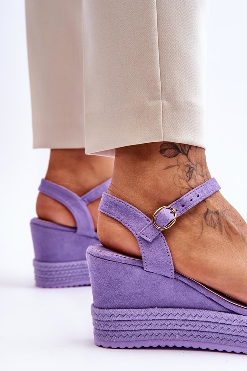 Класичні замшеві босоніжки на танкетці Violet Denisse