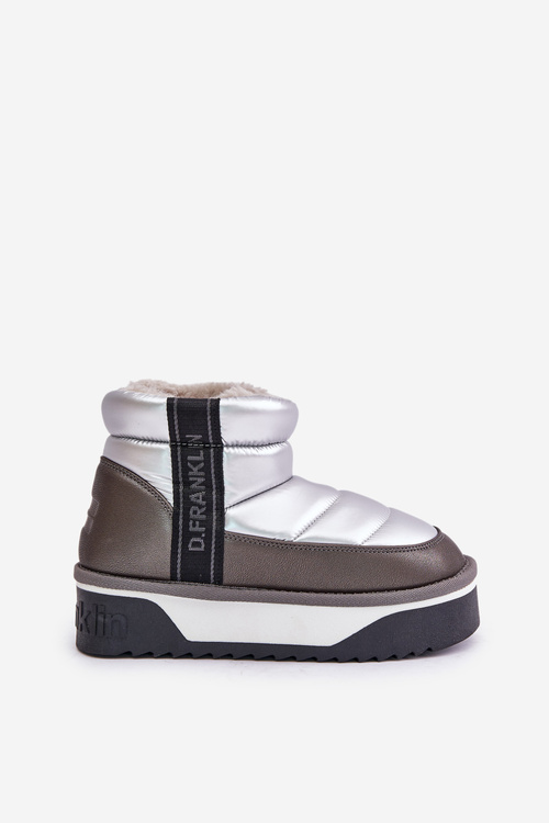 Черевики низькі на товстій підошві D.Franklin DFSH371010 Silver