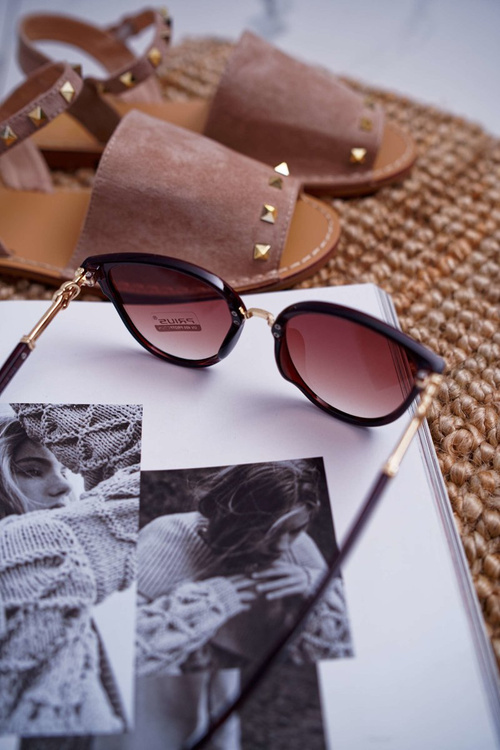 Коричневі сонцезахисні окуляри Prius PR-V06