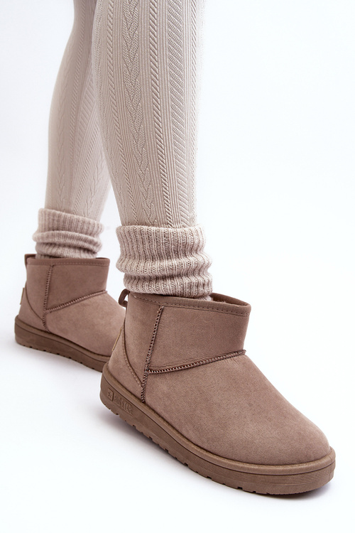 Жіночі зимові черевики темно-бежеві Big Star KK274294