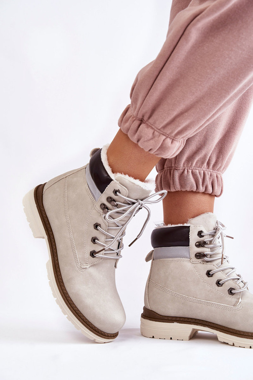 Жіночі теплі чоботи світло-сірі Lonne