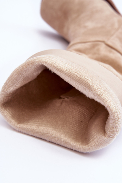 Жіночі замшеві чоботи на масивному каблуці бежеві Virdana