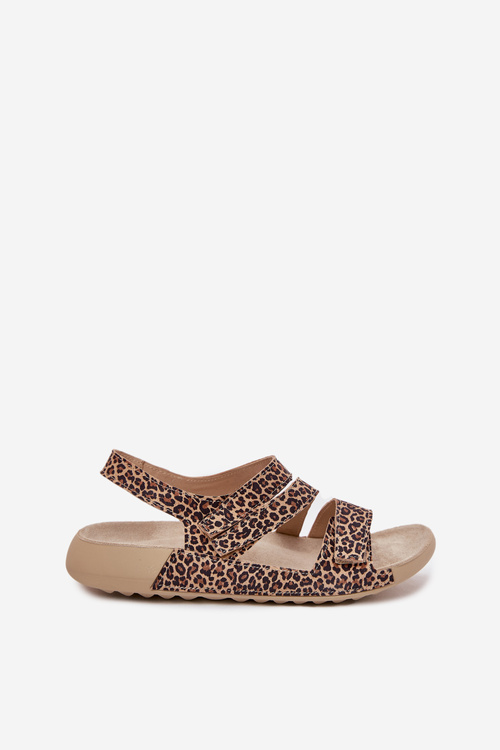Жіночі Шкіряні Сандалі Zazoo K1004 Леопард
