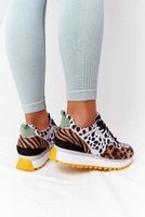 Чорний || Коричневий, бежевий || Багатокольоровий