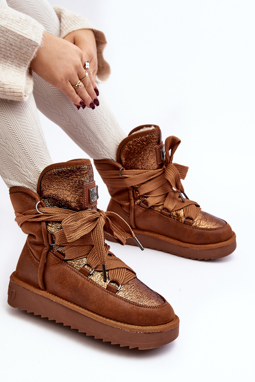 Жіночі зимові черевики зі шнурівкою D.Franklin DFSH370006 Коричневий
