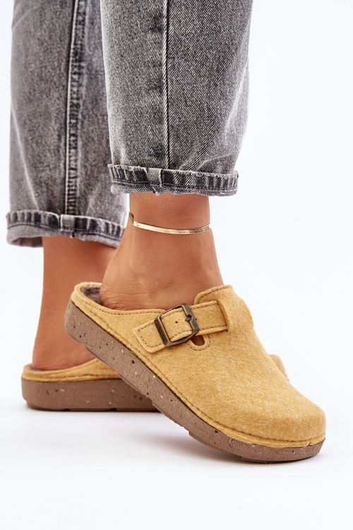 Жіночі профілактичні тапочки Inblu DJ-07-002 Бежеві