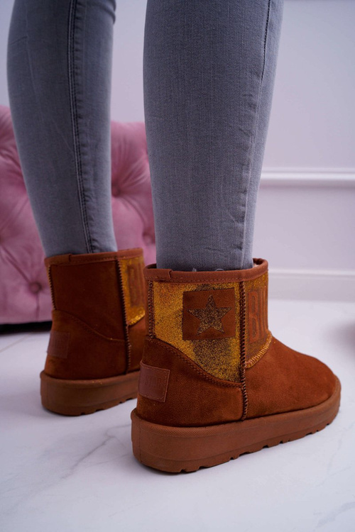 Жіночі чоботи Snow Boots Утеплені коричневі Big Star EE274259