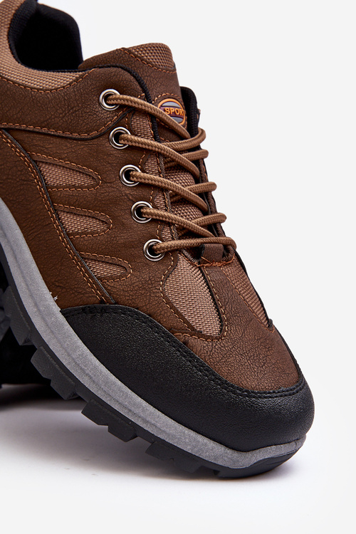 Чоловіче спортивне трекінгове взуття коричневого кольору Alveze