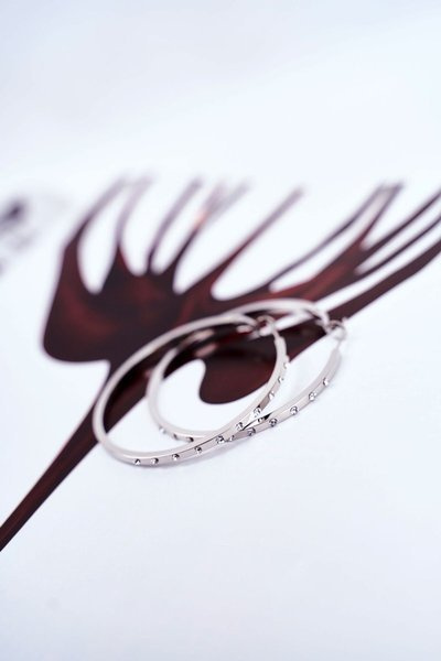 Жіночі Сережки Срібні Колеса Висячі Циркони Тамара