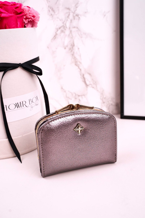 Маленький жіночий гаманець на гачку MILANO Silver