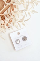 Відтінки сірого і сріблястий