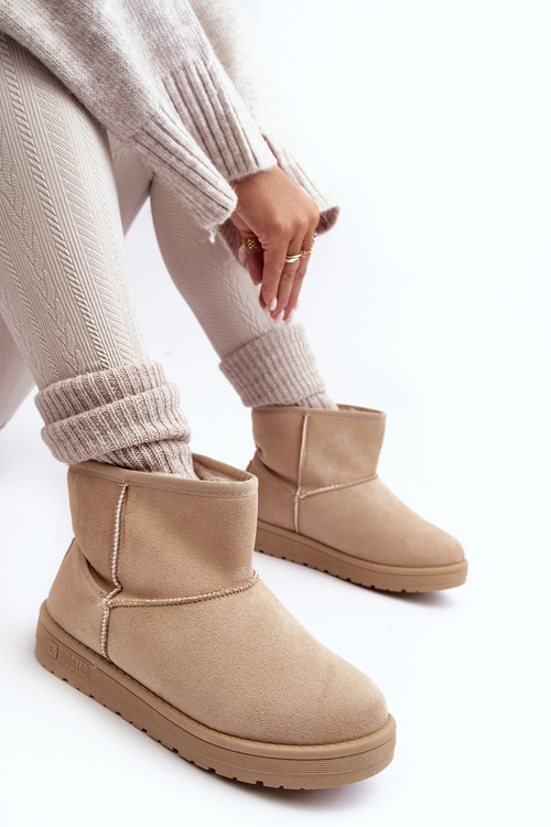 Жіночі зимові черевики з хутряною підкладкою, бежевий Big Star MM274160