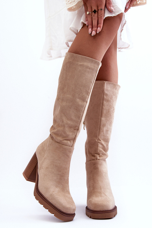 Жіночі замшеві чоботи на масивному каблуці бежеві Virdana
