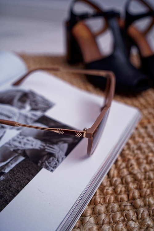 Сонцезахисні окуляри Prius PR-V41 Coffee Matte